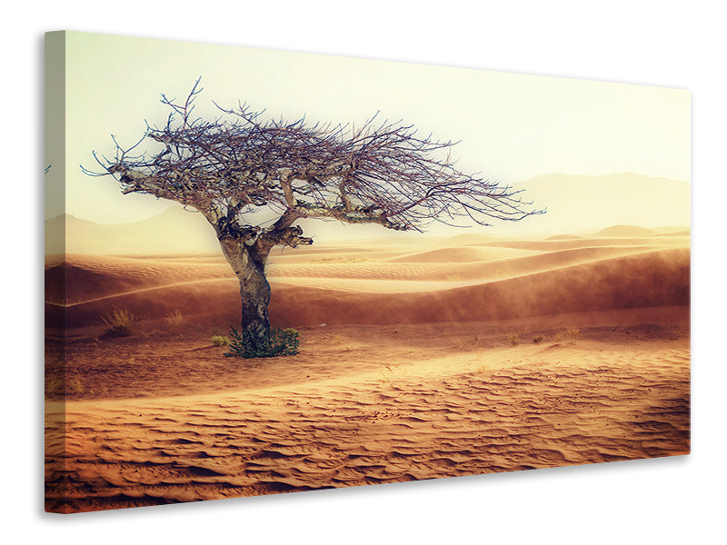 canvas-print-desert-storm