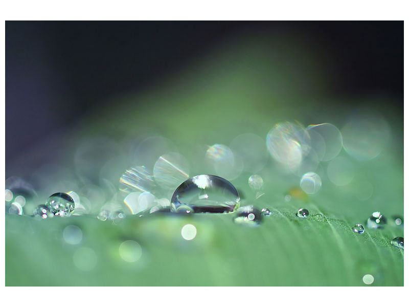 canvas-print-drops-of-water-in-xxl