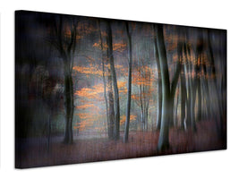 canvas-print-enchanted-forest-xil