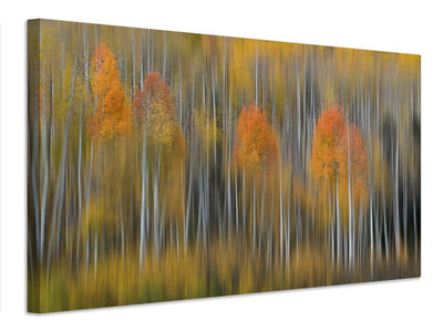 canvas-print-fall-impression-2-x
