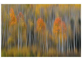 canvas-print-fall-impression-2-x