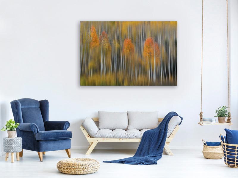 canvas-print-fall-impression-2-x