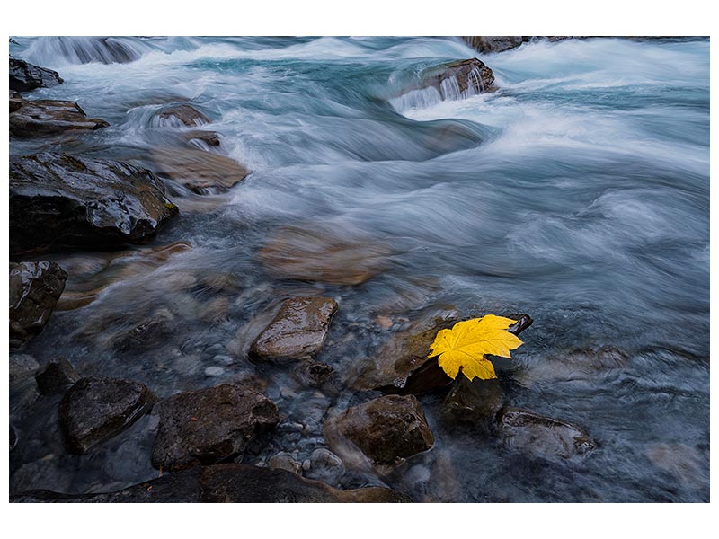 canvas-print-fall-is-here-x