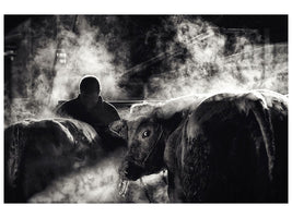 canvas-print-farm-life