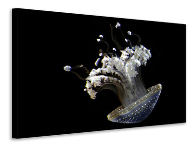 canvas-print-fascinating-jellyfish