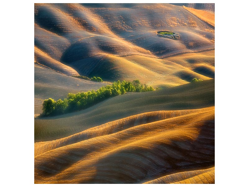 canvas-print-fields-xlk