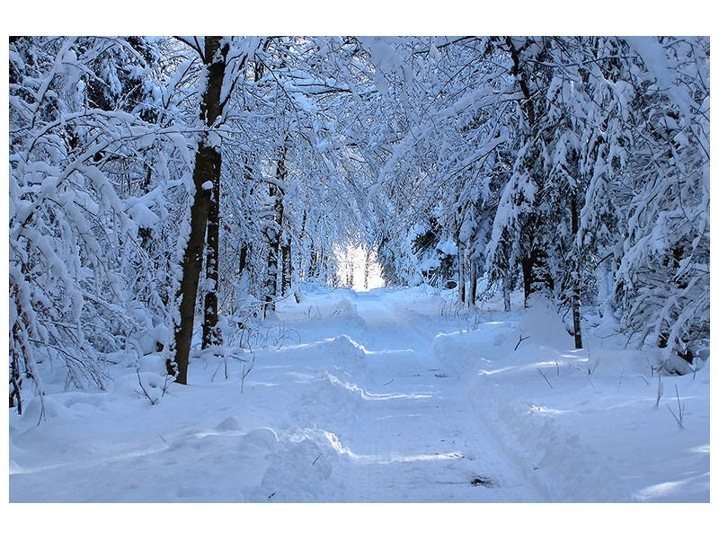 canvas-print-finally-winter