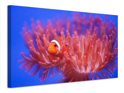 canvas-print-finding-nemo-x