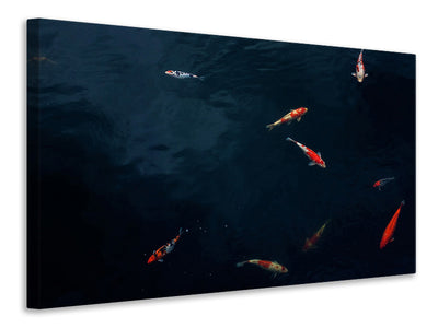 canvas-print-fish-in-the-pond