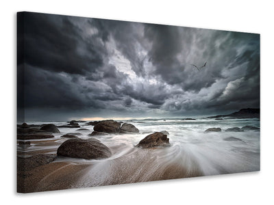 canvas-print-flight-over-troubled-waters