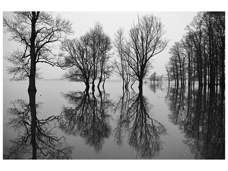 canvas-print-flood-x