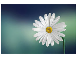 canvas-print-flower