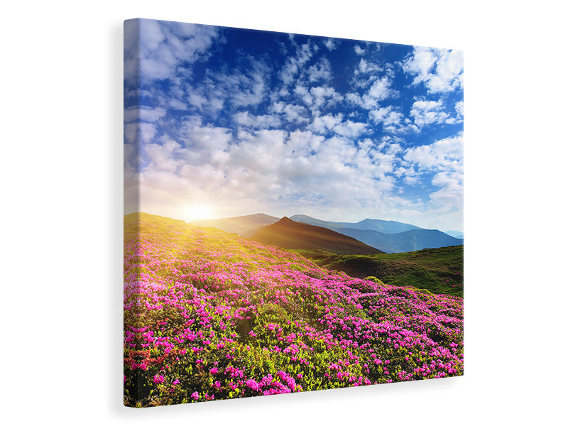 canvas-print-flowery-mountain-landscape