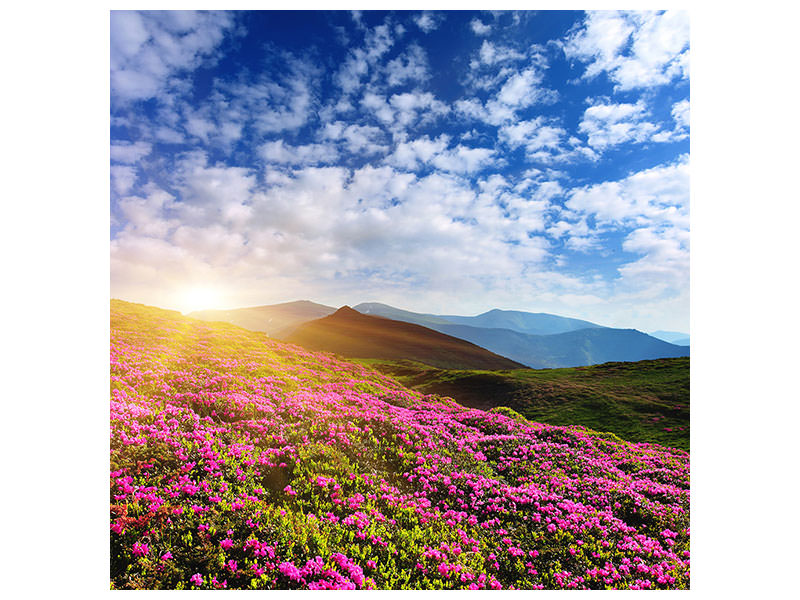 canvas-print-flowery-mountain-landscape