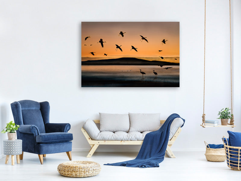 canvas-print-fly-in-at-sunset