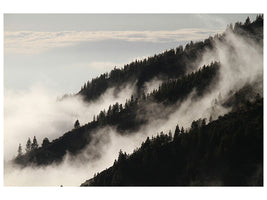 canvas-print-fog-in-the-woods