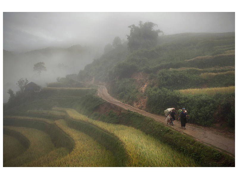 canvas-print-fog