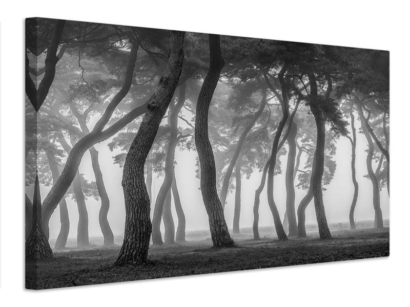 canvas-print-foggy-morning-x