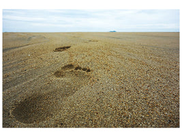 canvas-print-footprints-xxl