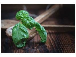 canvas-print-fresh-basil-xl