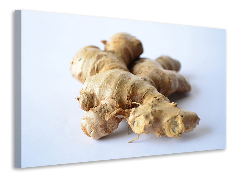 canvas-print-fresh-ginger-tuber