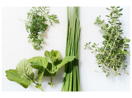 canvas-print-fresh-herbs