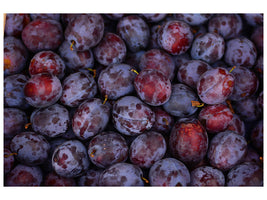 canvas-print-fresh-plums