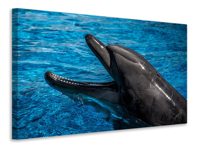 canvas-print-friendly-dolphin