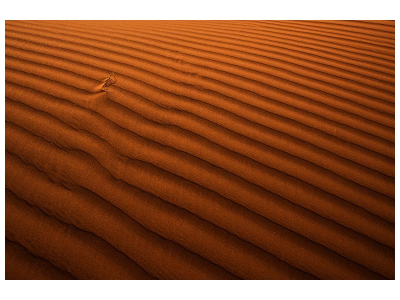 canvas-print-golden-lines-x