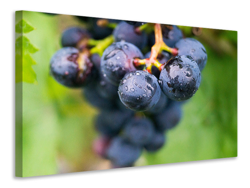 canvas-print-grapes