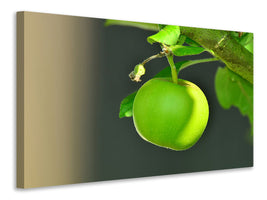 canvas-print-green-apple