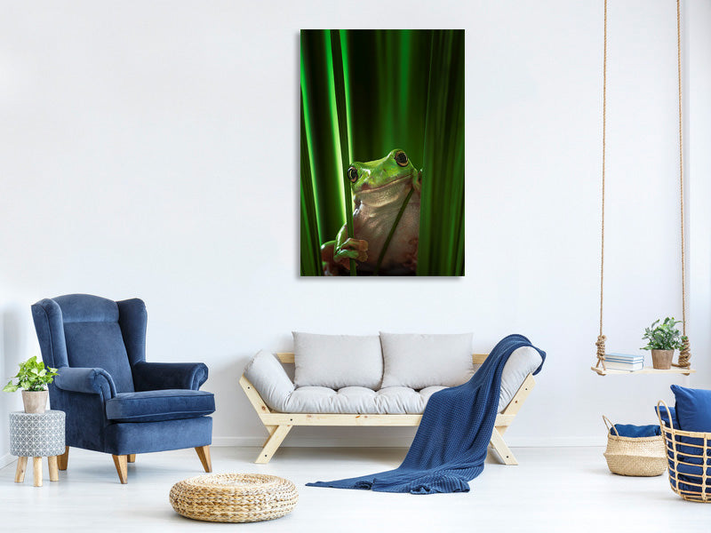 canvas-print-green-frog