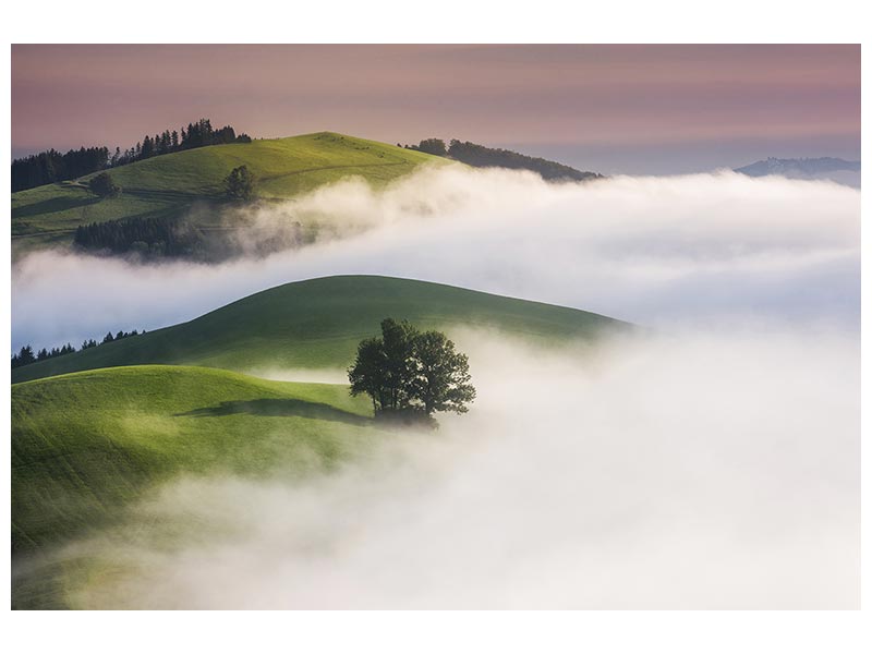 canvas-print-green-hills-x