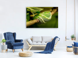 canvas-print-green-snake