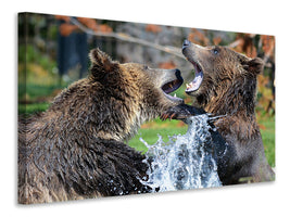 canvas-print-grizzly-fight