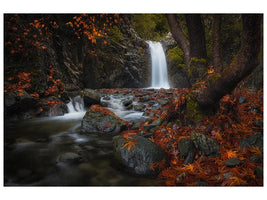 canvas-print-headwaters-x