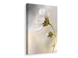 canvas-print-heavenly-cosmos