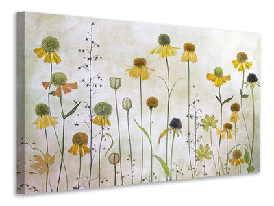 canvas-print-helenium