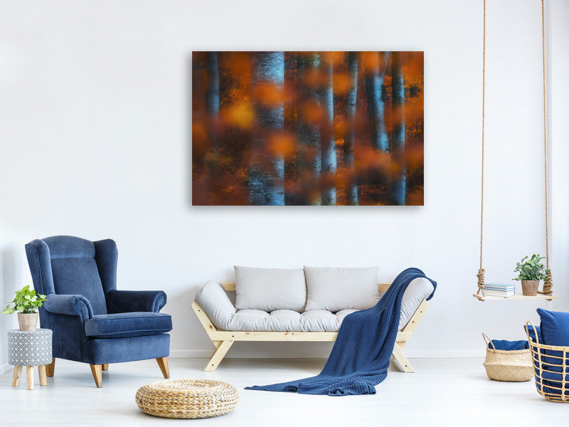 canvas-print-hidden-forest