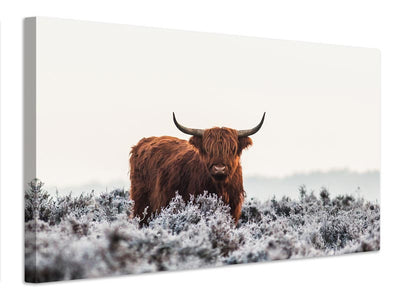 canvas-print-highlander-x