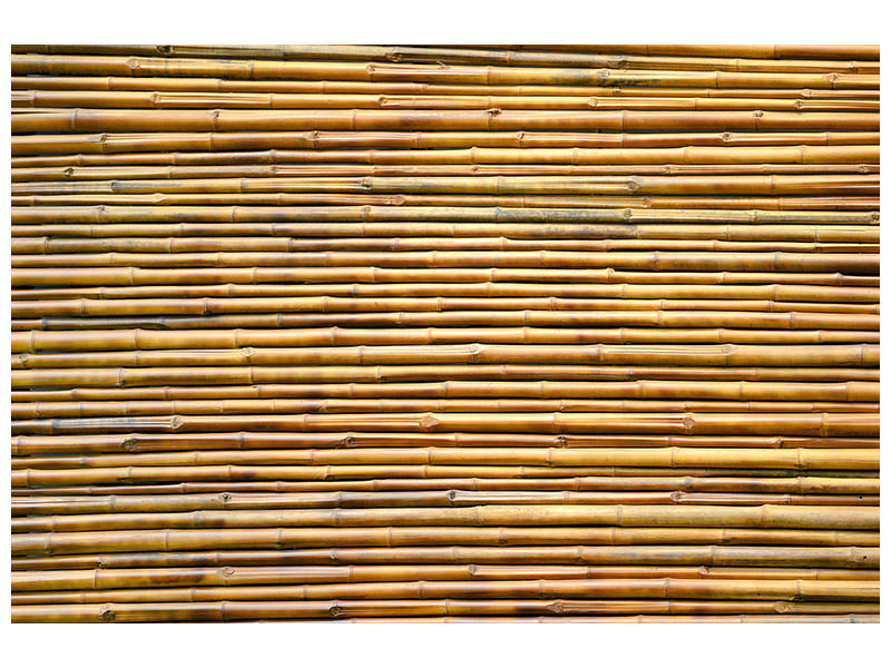 canvas-print-horizontal-bamboo-wall