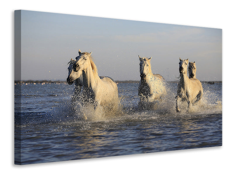 canvas-print-horses-in-the-sea