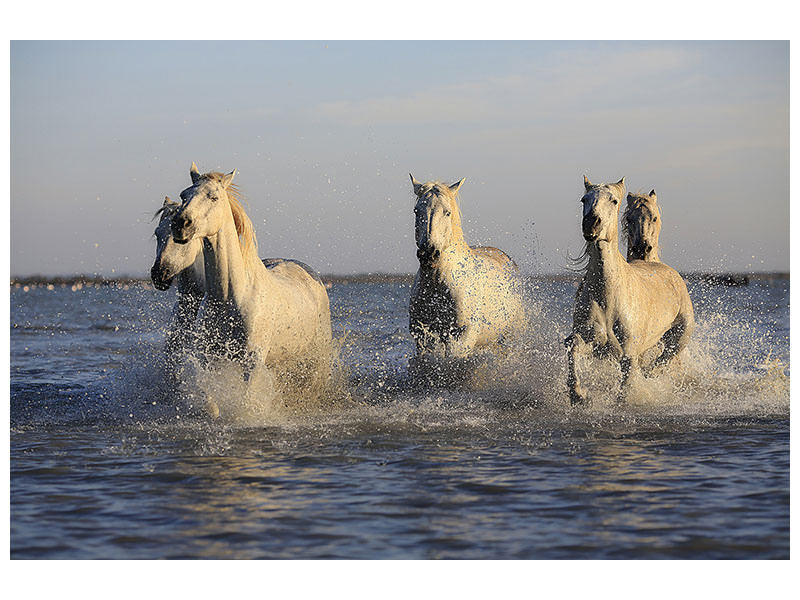 canvas-print-horses-in-the-sea