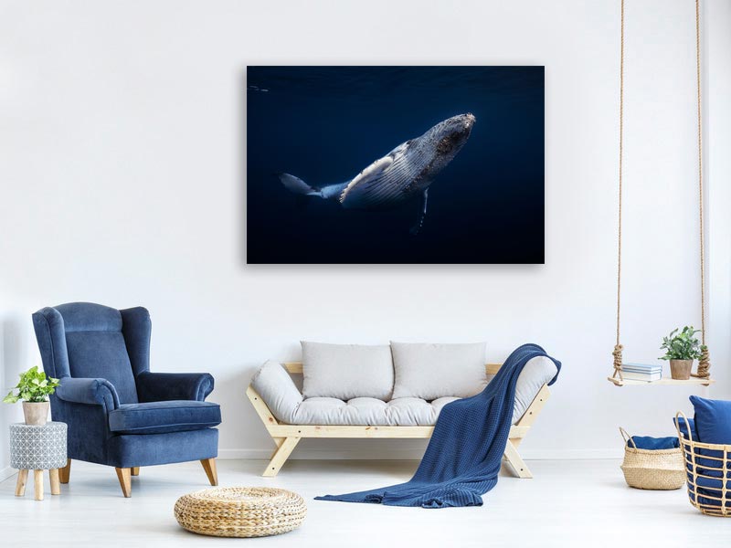 canvas-print-humpback-whale-xbl