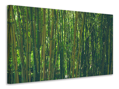 canvas-print-in-the-middle-of-the-bamboo