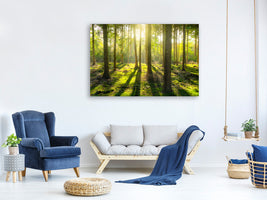 canvas-print-in-the-middle-of-the-woods