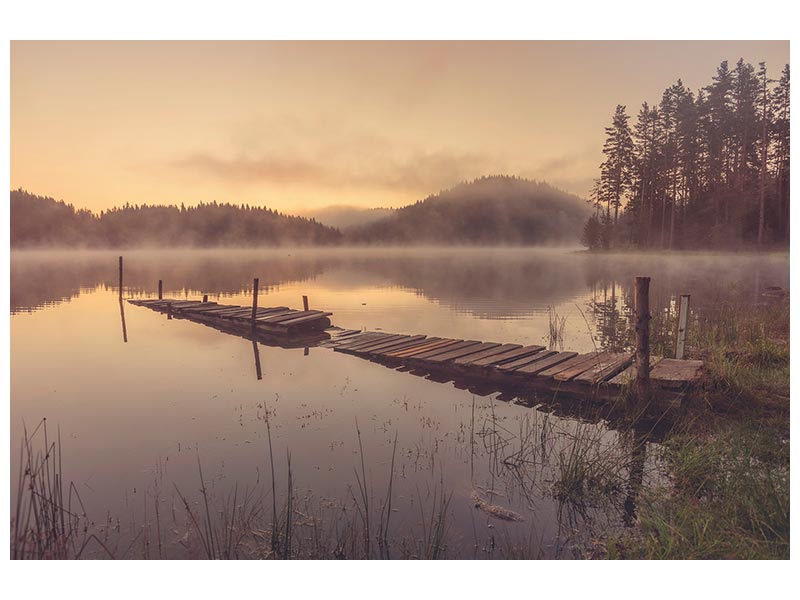 canvas-print-in-the-morning-xzc