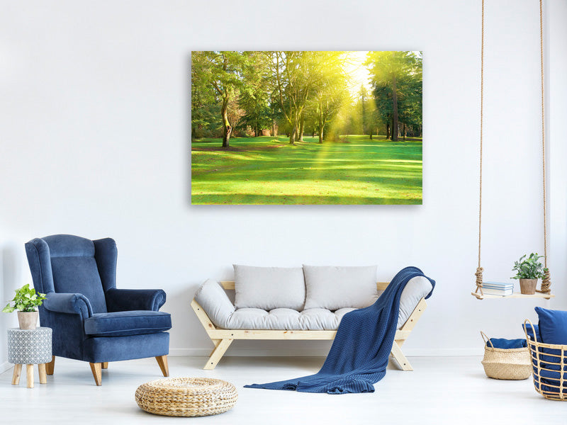 canvas-print-in-the-park