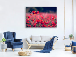 canvas-print-in-the-poppy-field