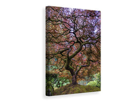 canvas-print-japanese-maple-tree